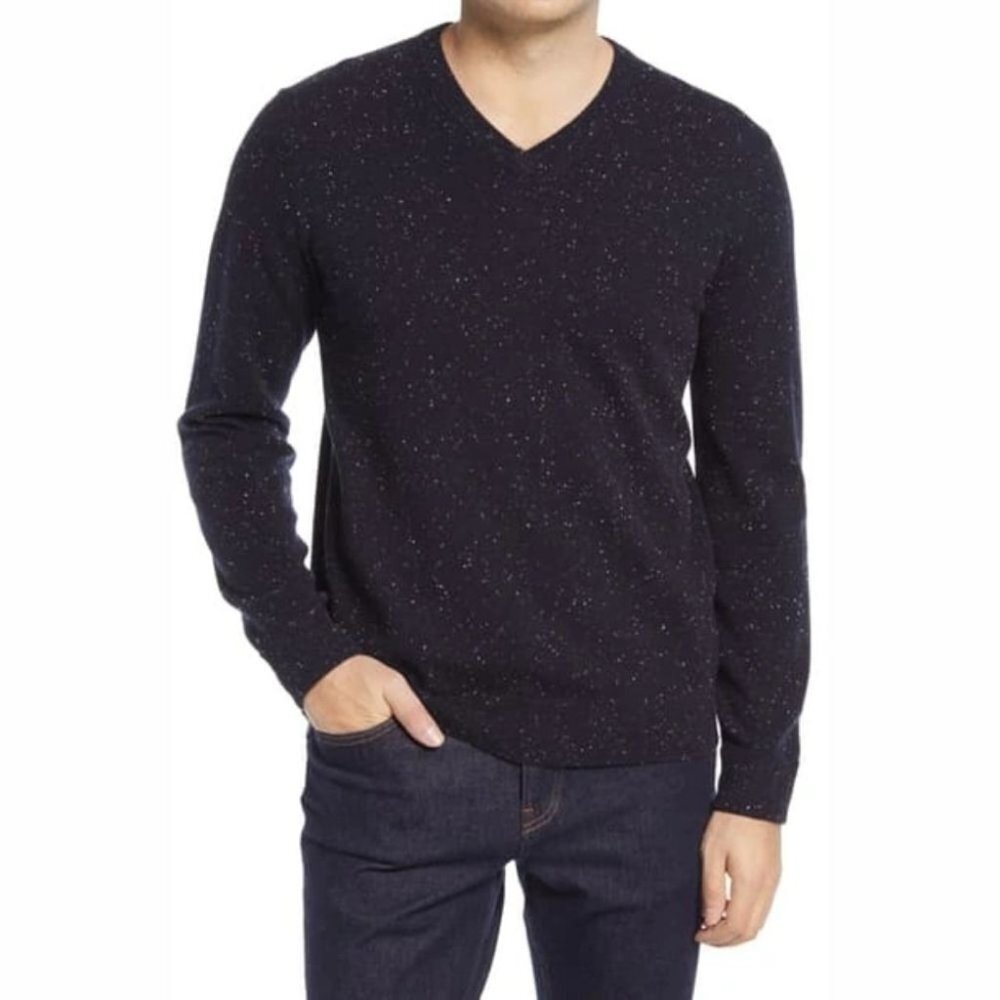 Everlane The Cashmere Donegal V Neck Sweater